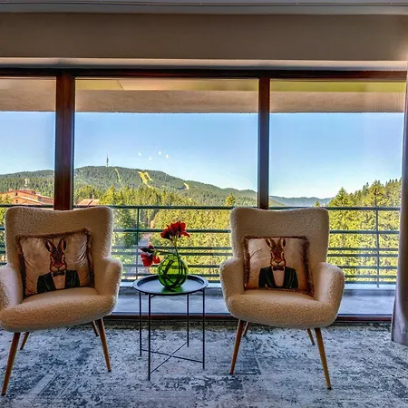 Ξενοδοχείο Grand Murgavets 4*